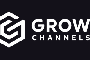 Razvan Paraschiv – Grow Channels Accelerato
